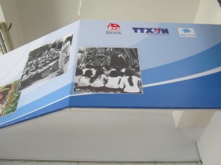 Fotogalerie "Kinder im
                              Vietnamkrieg", rand oben 02