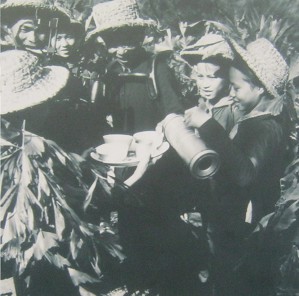 Vietnamkrieg: Kinder besuchen die
                              Front: Kinder besuchten das Schlachtfeld,
                              wo von den Truppen von Hoang Truong, Hoang
                              Hoa und Thanh Hoa
                              "amerikanische" Flugzeuge
                              abgeschossen worden waren.