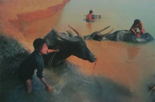 Kinder im Vietnamkrieg: Kinder
                              z�chten Vieh: Kinder vom Dorf Phu Man,
                              Gemeinde Ham Son, Distrikt Yen Phong, Ha
                              Bac (Bac Ninh) installierten die
                              Kooperative zum Jungen Bambus und
                              z�chteten Vieh. Diese bedeutungsvolle
                              Aktivit�t wurde von Onkel Ho in seinem
                              Brief vom Mai 1969 ausdr�cklich gelobt.