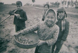 Kinder im
                              Vietnamkrieg bei der Feldarbeit nach der
                              Schule