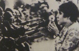 Eine Blume ist st�rker als
                              alle Waffen