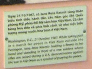 Eine Blume ist st�rker
                            als alle Waffen, Text