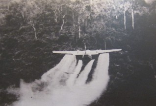 "US"-NATO-Entlaubungsaktion
                                  gegen Vietnam mit hochgiftigem Agent
                                  Orange mit Flugzeug