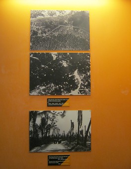 Vietnam: Durch Agent Orange
                                  zerst�rter Urwald in Ma Da