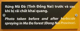 Vietnam: Durch Agent Orange
                              zerst�rter Urwald in Ma Da, Text: Foto vor
                              und nach der Sprayaktion mit Herbiziden im
                              Urwald von Ma Da (Provinz Dong Nai)