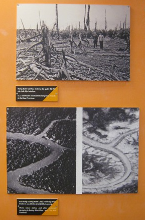 Fotos von
                              Waldzerst�rungen durch Agent Orange 02 in
                              den Provinzen Ca Mau und Tay Ninh