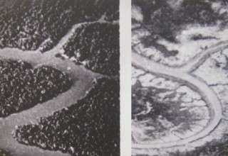 Durch Agent Orange entlaubter
                              Urwald in der Region Duong Minh Chau,
                              Provinz Tay Ninh: Foto von vor und nach
                              der Sprayaktion mit Herbiziden in der
                              Gegend von Duong Minh Chau (Provinz Tay
                              Ninh)