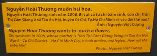 Agent-Orange-Opfer Nguyen Hoai
                                Thuong, Text: Nguyen Hoai Thuong m�chte
                                eine Blume streicheln. Sie wurde 2008
                                geboren. Ihre Mutter ist Tran Thi Cam
                                Giang und lebt in Stadtquartier Tan An
                                Hoi - Distrikt Cu Chi - in Saigon (Ho
                                Chi Minh-Stadt). Das Kind hat weder
                                ausgebildete Arme noch Beine. Wie soll
                                das Kind ein Leben beginnen? Foto:
                                Nguyen Viet Cuong