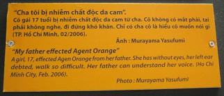 Vater mit
                              Agent-Orange-Opfer, Text: "Mein Vater
                              wurde mit Agent Orange verseucht" Ein
                              M�dchen, 17 Jahre alt, ist durch ihren
                              Vater von Agent Orange betroffen. Sie ist
                              blind, ist auf dem linken Ohr taub und
                              kann kaum laufen. Ihr Vater kann ihre
                              Stimme verstehen (Saigon / Ho Chi
                              Minh-Stadt, Februar 2006) Foto: Murayama
                              Yasufumi
