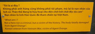 Agent-Orange-Opfer
                                      Korea-Veteran, Text: "Was bin
                                      ich? Kein Held, nur ein
                                      Krimineller, aber ein Opfer der
                                      Geschichte. Der K�rper ist schwer
                                      durch Agent Orange
                                      gesch�digt." Koreanischer
                                      Veteran vom Vietnamkrieg,
                                      Agent-Orange-Opfer