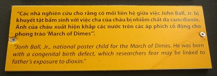Agent-Orange-Opfer Jonh Ball, Text
                              Text: "Jonh Ball, Jr., das nationale
                              Plakat-Kind f�r den Groschenmarsch. Er
                              wurde mit einem Geburtsfehler geboren,
                              Forscher meinen, weil der Vater Dioxin
                              ausgesetzt war."