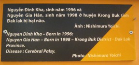 Agent-Orange-Opfer, Text: Nguyen Dinh
                              Kha, geboren 1996, und Nguyen Gia Han,
                              geboren 1998 - Distrikt Krong Buk, Provinz
                              Dak Lak. Krankheit: Hirnl�hmung