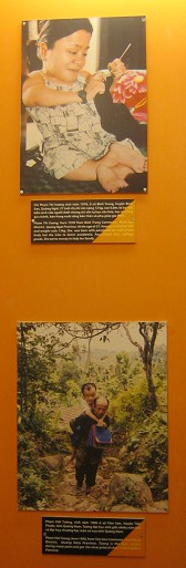 Zwei
                              Agent-Orange-Opfer