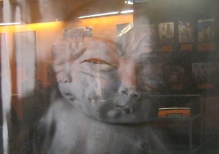 Agent-Orange-Opfer: Saigon (Ho
                              Chi Minh City), deformierte F�ten in
                              Formaldehyd konserviert, Tu-Du-Spital,
                              1980