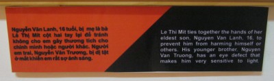 Agent-Orange-Opfer
                                    Le Thi Mit, Text: Le Thi Mit h�lt
                                    sich an den H�nden seines �lteren
                                    Bruders, Nguyen Van Lanh (16), um
                                    ihn zu hindern, dass er sich selbst
                                    oder anderen Schaden zuf�gt. Sein
                                    j�ngerer Bruder, Nguyen Van Truong,
                                    hat einen Augenschaden, und
                                    gegen�ber Licht ist er deswegen sehr
                                    sensibel.
