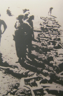 Ein krimineller
                                    NATO-Kommandeur misst die Reihe
                                    toter Vietnamesen mit einer
                                    Messlatte