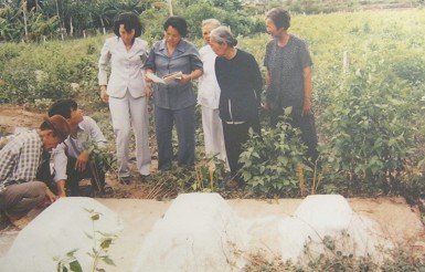 Das Massaker
                                        von Thanh Phong vom 25.2.1969:
                                        Die Gr�ber der drei Grosskinder
                                        von Herrn Bui Van Vat