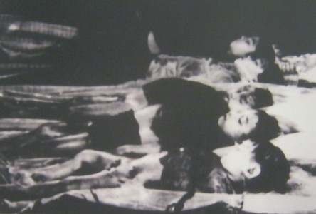 Tan Hung Tay: Die
                              "US"-NATO bombardierte 1965 das
                              Dorf Tan Hung Tay: Die f�nf Kinder von
                              Herrn Le Van Chu aus dem Weiler Tan Quang,
                              Dorf Tan Hung Tay, Provinz Ca Mau, wurden
                              1965 durch ein "US"-Bombardement
                              get�tet.