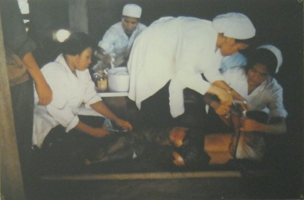 Minenopfer, eine
                                    B�uerin: Die NATO-GIs haben sich aus
                                    Vietnam zur�ckgezogen, aber Minen
                                    sind immer noch im Boden, die nicht
                                    explodiert sind, und diese Minen
                                    verursachen weiterhin Tod und
                                    Verletzungen am vietnamesischen
                                    Volk. Hier wurde ein B�uerin w�hrend
                                    der Feldarbeit durch eine
                                    "US"-Mine verletzt (Spital
                                    Tri�u D�, Distrikt Tri�u Phong,
                                    Provinz Quang Tri [zentrales
                                    Vietnam]).