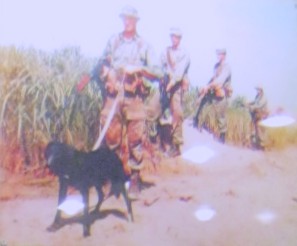 Vietnamkrieg: Patrouille mit Hund Vietnamkrieg: Patrouille mit Hund