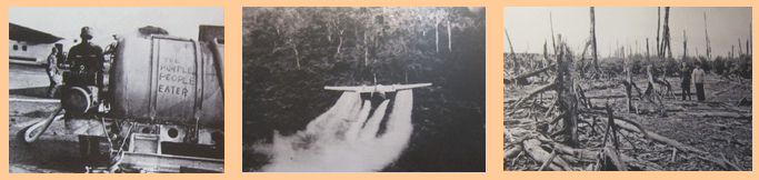 Vietnam
                          Kriegsmuseum in Saigon 01: NATO mit Agent
                          Orange-Verseuchung, Verlad, Spr�hen, Waldmord
                          und Entlaubung